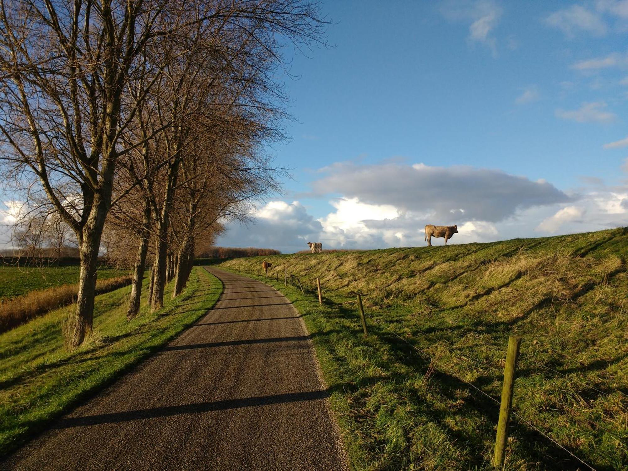 Studio Sturjalland Sirjansland Exteriér fotografie